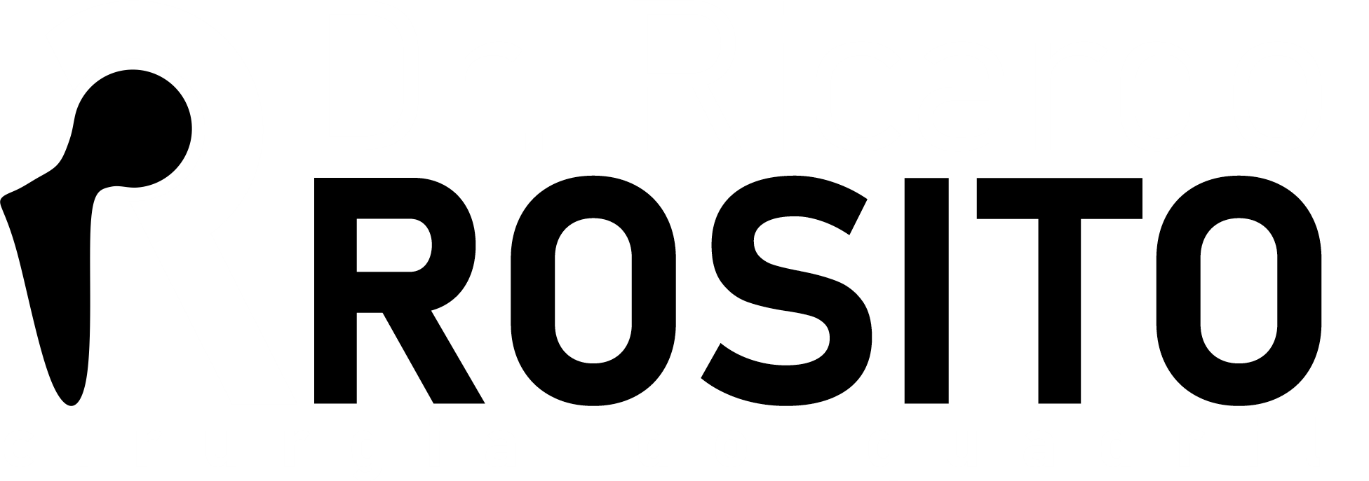 Dr. Ricardo Rosito